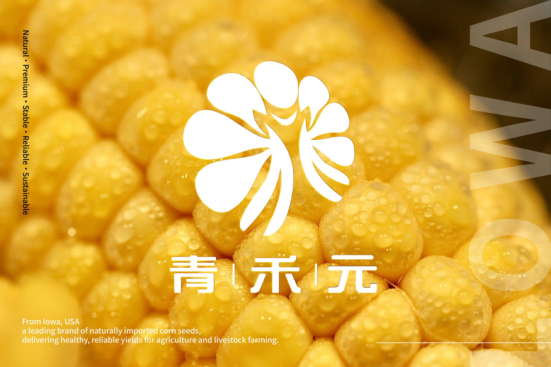 CYANSPRIME青禾元 - 美國愛荷華玉米科學農