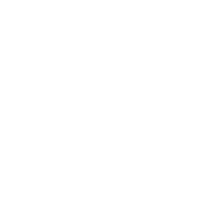 MR.WHISKY logo