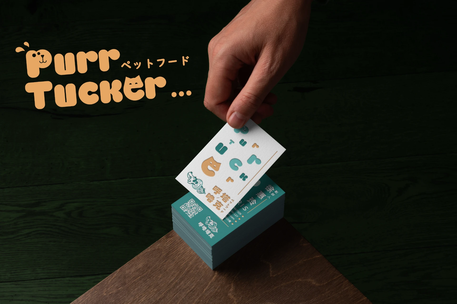 PURR TUCKER 呼嚕塔克寵物品牌 7-2