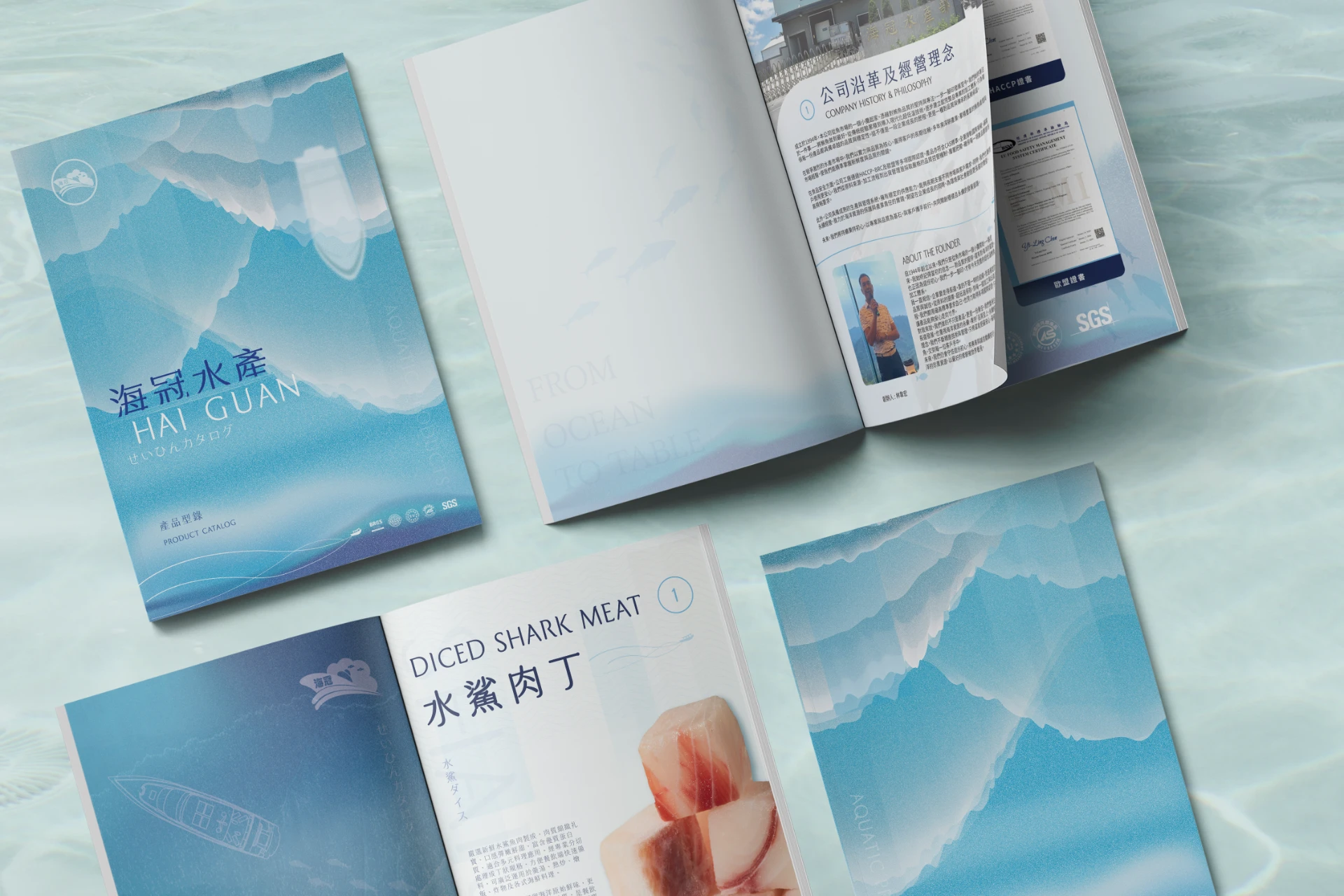 海冠有限公司 10