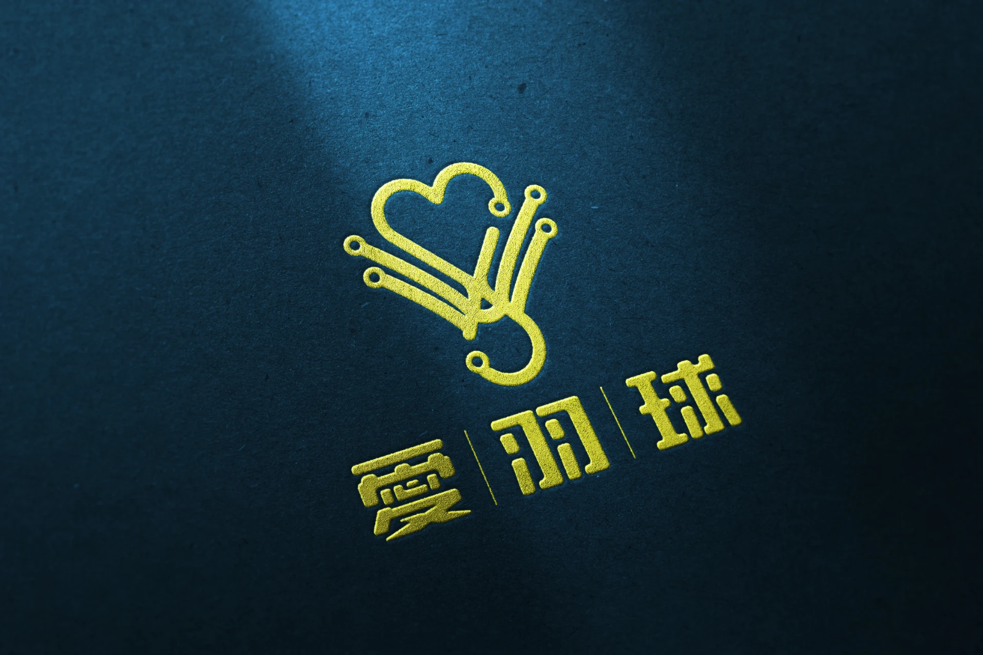愛羽球 - 愛羽球國際控股有限公司 2