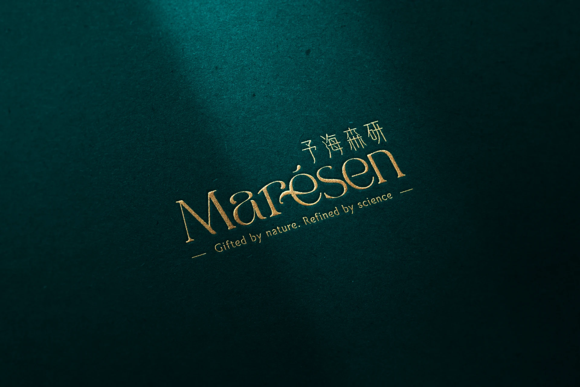 Marésen 予海森研 3-2