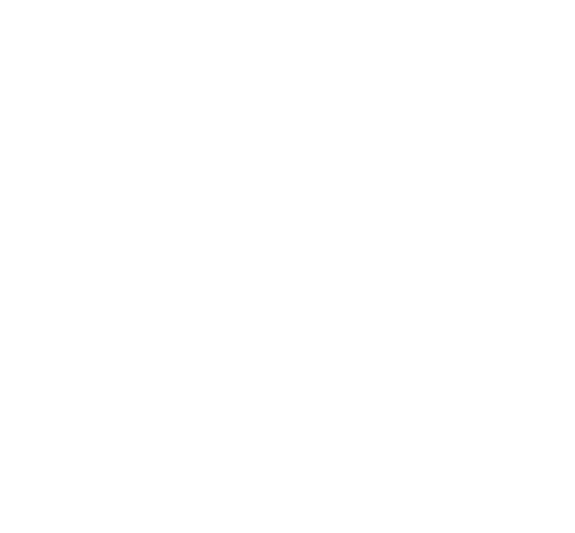 愛羽球國際控股有限公司 logo
