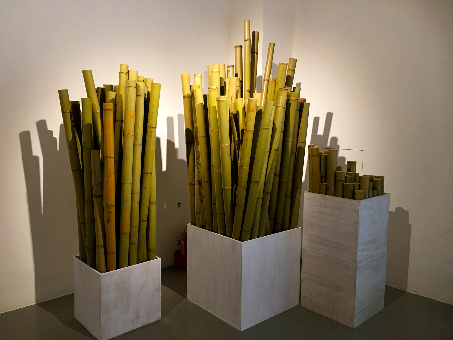 大里纖維博物館-2018織竹知竹 4