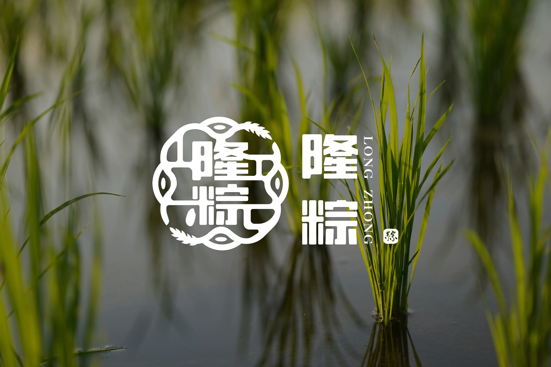 隆粽 - 上海傅記30年好味道 1