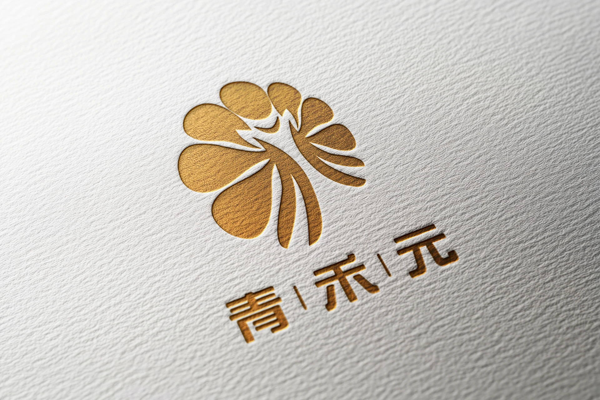 CYANSPRIME青禾元 - 美國愛荷華玉米科學農 5