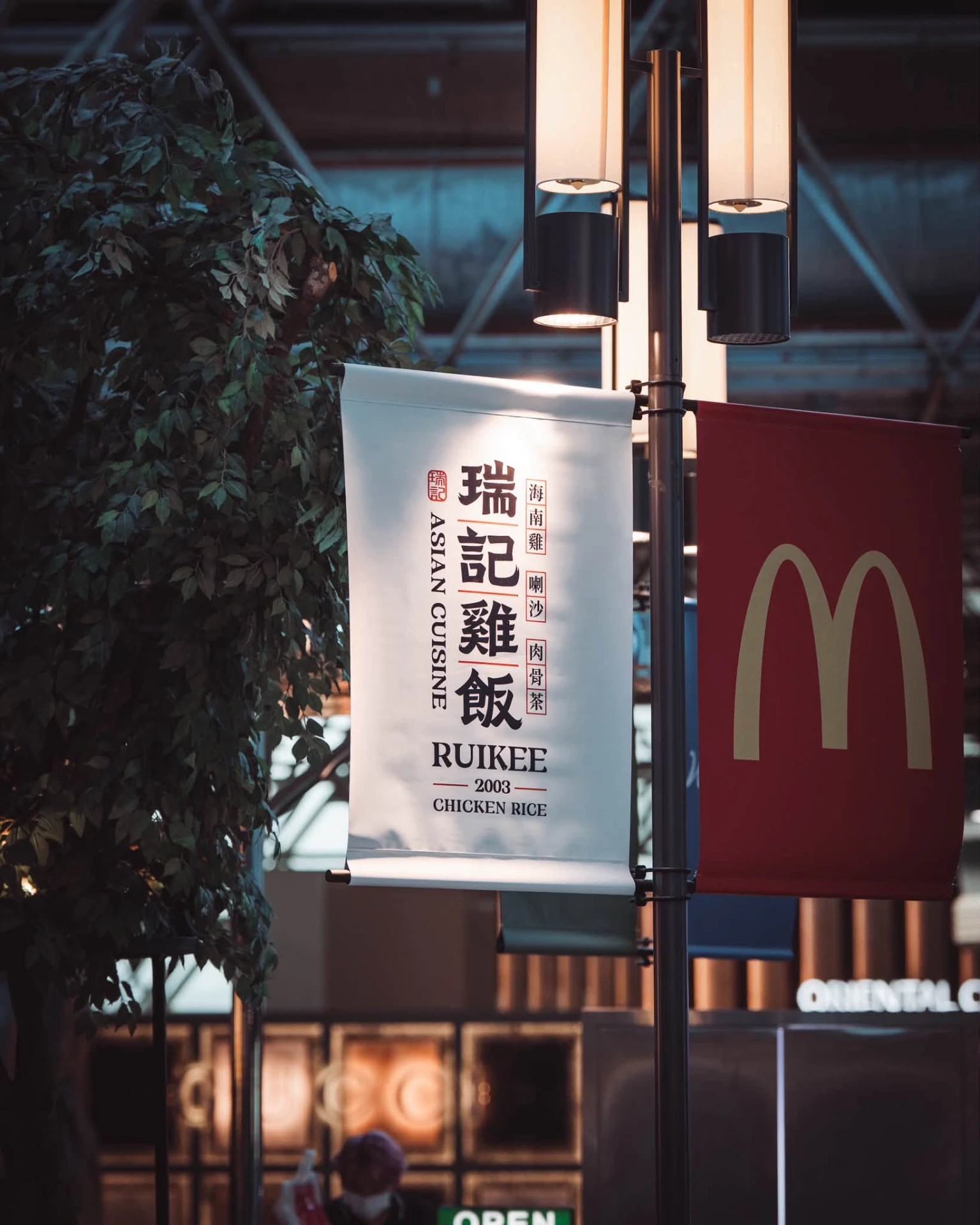 瑞記雞飯 6