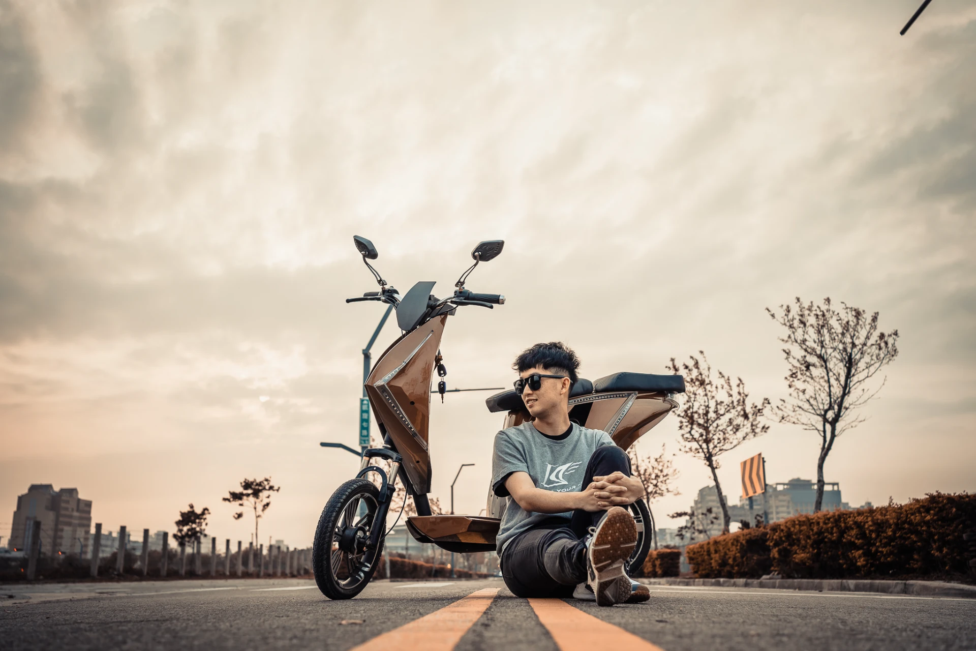KELVIS 電輔車
