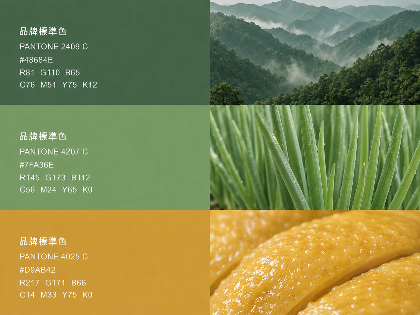 王山而熟成雞肉飯 2