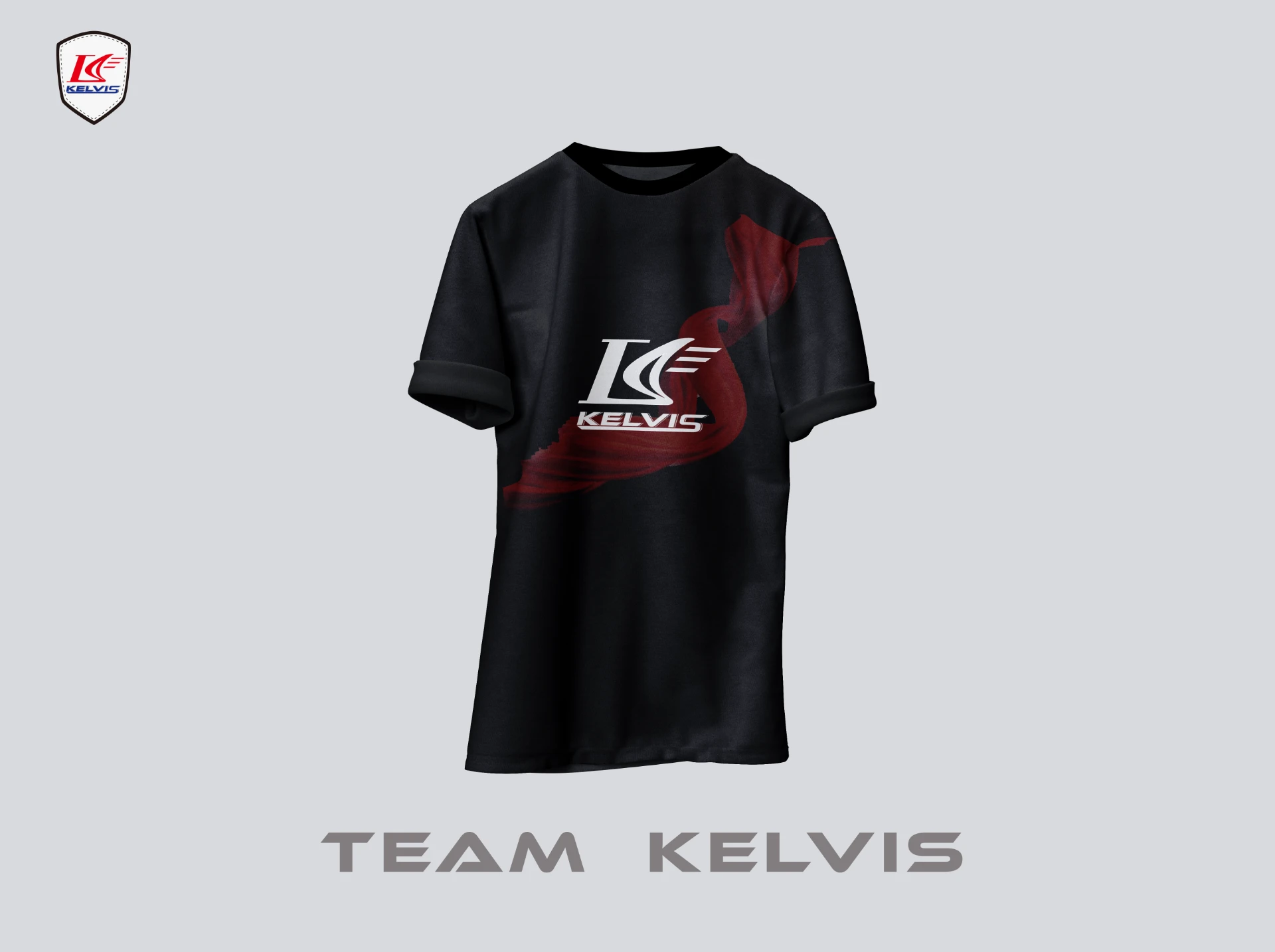 KELVIS 電輔車 14-2