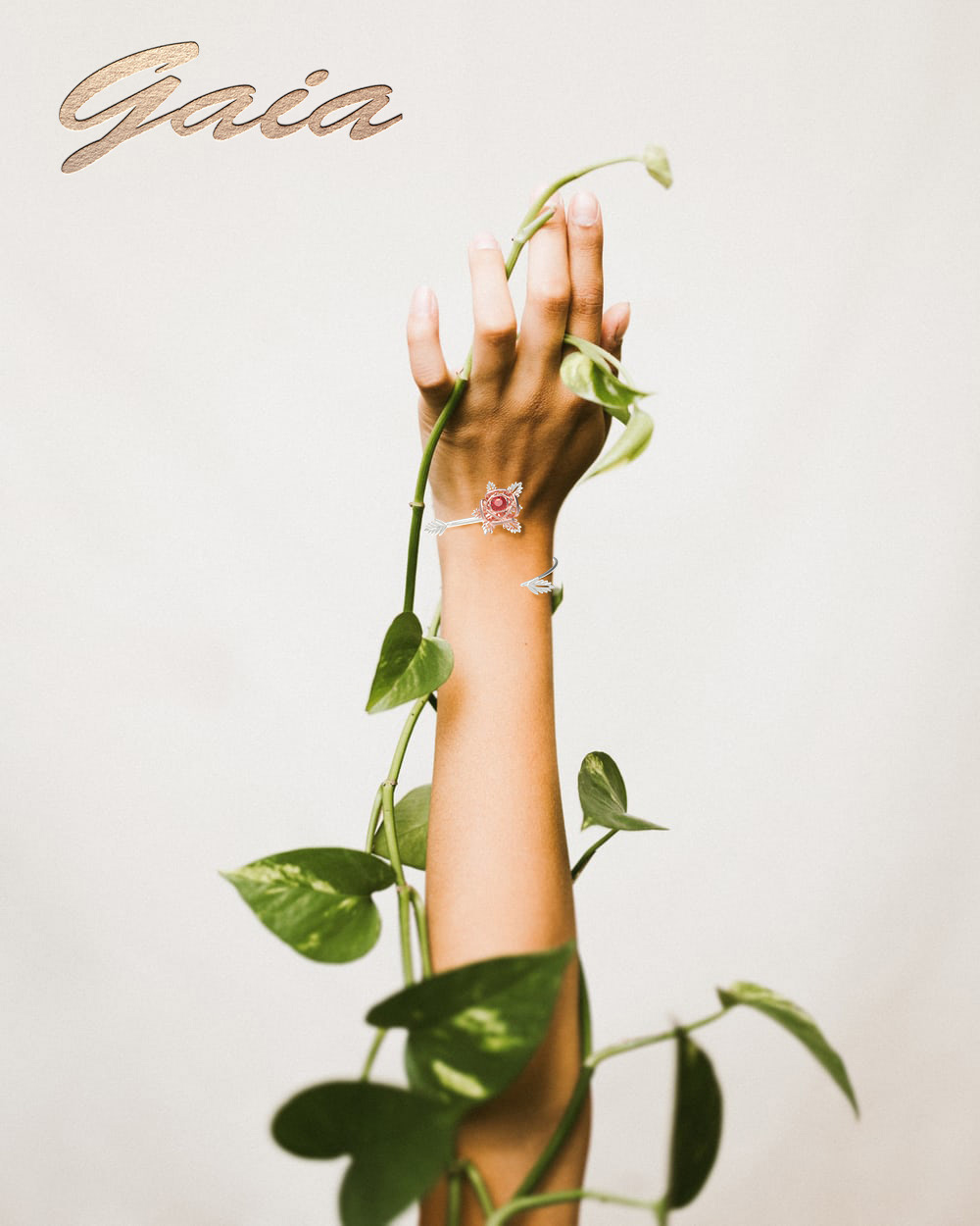 Gaia - Rose 4
