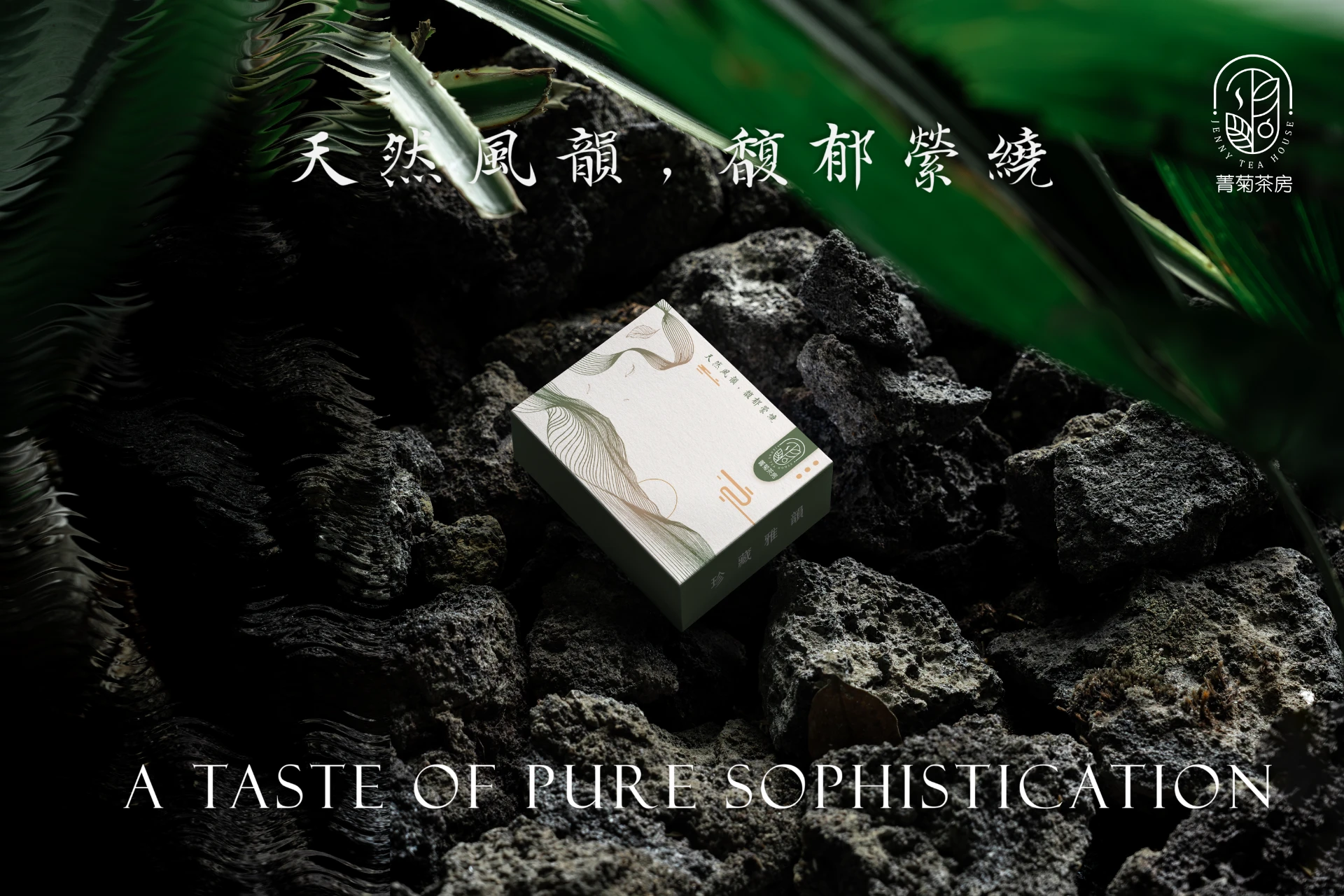 菁菊茶房茶葉禮盒 2