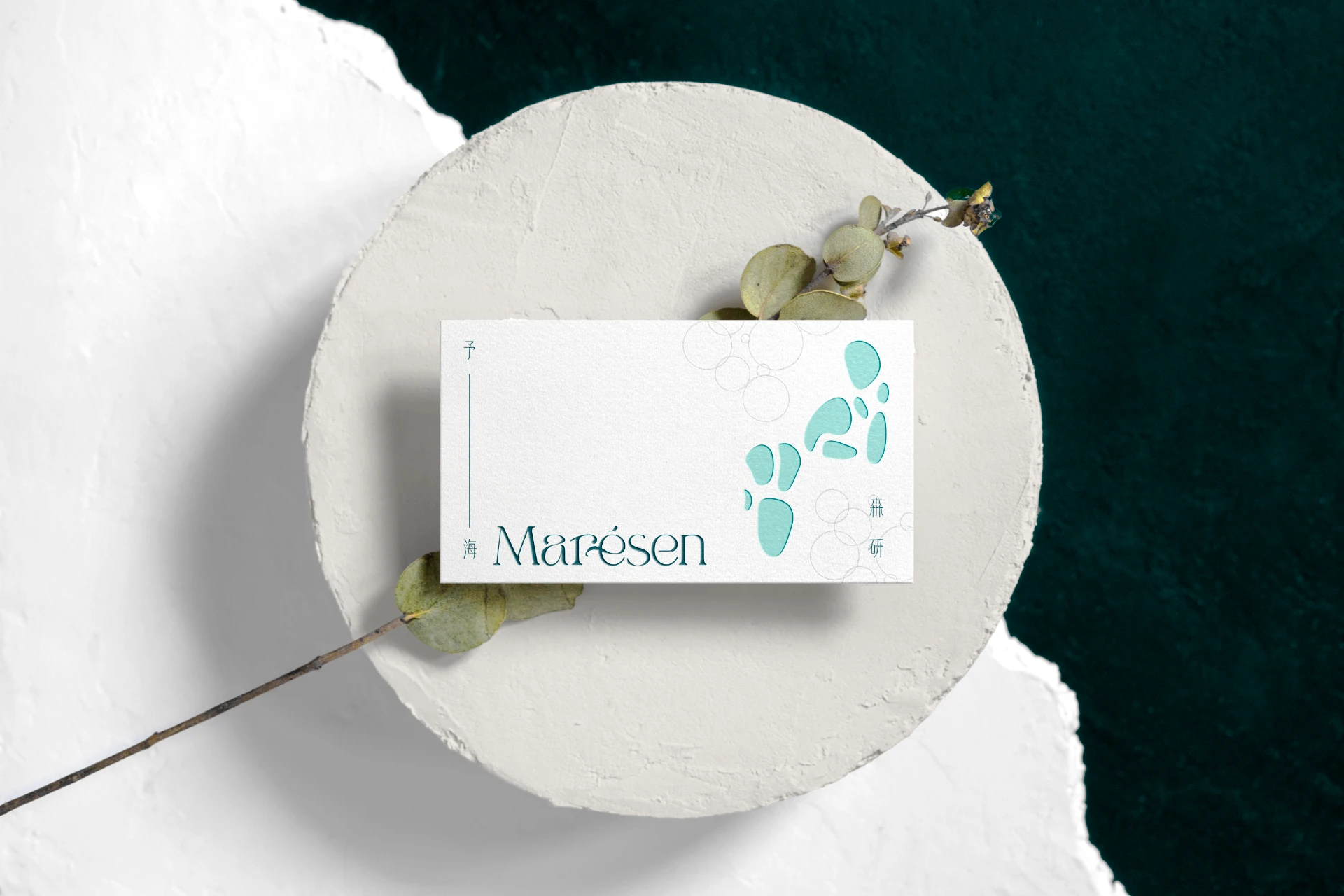 Marésen 予海森研 6