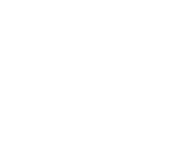 NVIDIA INCEPTION PROGRAM